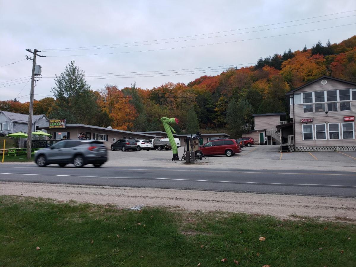 האליברטון Silver Maple Motel מראה חיצוני תמונה